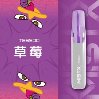 【Mist X】鴨嘴獸拋棄式電子煙 6500口 650mAh可充電 萌系造型 冰爽水果口味 現貨秒發