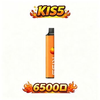 KIS5 鎧斯 6500口拋棄式 Type-C快充 雙芯磁吸混搭風味 不漏油順滑 711到付現貨